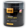 Aminokyselina ATP BCAAs Nitro + DMA 300 g