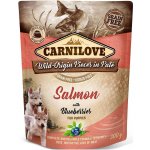 Carnilove Dog Pouch Paté Salmon with Blueberries for Puppies 300 g – Sleviste.cz