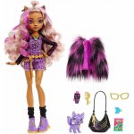 Mattel Monster High Clawdeen Wolf Doll With Purple Streaked Hair And Pet Dog – Sleviste.cz