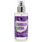 Purity Vision Levandulová voda 100 ml – Sleviste.cz