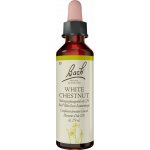 Bachovy květové esence Kaštan bílý White Chestnut 20 ml – Hledejceny.cz