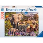 Ravensburger D.Penfound Africká zvířata 3000 dílků – Hledejceny.cz