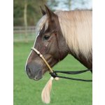 BUSSE Bosal LATIGO – Sleviste.cz