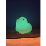 Linlight RGB A028 – Zboží Dáma