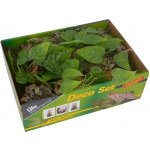 Lucky Reptile Deco Set Jungle – Hledejceny.cz