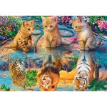 Norimpex Diamantové malování Kočičí sny 30 x 40 cm – Hledejceny.cz