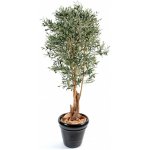 Luxusní umělý strom OLIVOVNÍK KNOTTY TRUNK, 210cm – Zboží Mobilmania