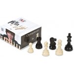 DGT Chess Pieces 95 mm v sáčku – Zboží Mobilmania