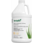 Herbalife Bylinný koncentrát Aloe 1892 ml Mango – Hledejceny.cz