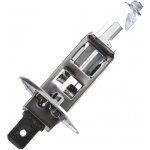 NTY Žárovka Halogenová H1 Super Bílá Halogen Bulb H1 Super Bílá/up TO 100 % More Light ON THE Road Ahead (EZ-H1ZSW) – Hledejceny.cz