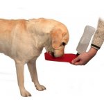 Skládací (cestovní) plastový závěsný Trixie 0,7 l – Zboží Dáma