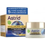 Krém Astrid Hyaluronic Gold vyplňující noční 50 ml – Zboží Mobilmania