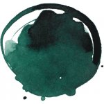 Liquitex H4127 AKRYLOVÝ INKOUST ZELENÝ 30ML – Zboží Dáma