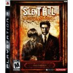 Silent Hill: Homecoming – Zboží Dáma