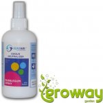 Sure Air Bubble Gum sprej 250 ml – Sleviste.cz