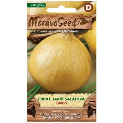 MoravoSeed CZ a.s. MoravoSeed Cibule kuchyňská jarní salátová GLOBO