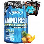 Real Pharm AminoRest 500 g – Zboží Mobilmania