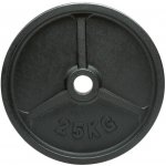 ATX LINE Litinový kotouč 25 kg 50 mm – Hledejceny.cz