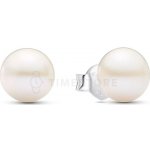 Pandora 293168C01 – Hledejceny.cz