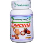 Planet Ayurveda Garcinia extrakt 5:1 500 mg 60 kapslí – Hledejceny.cz