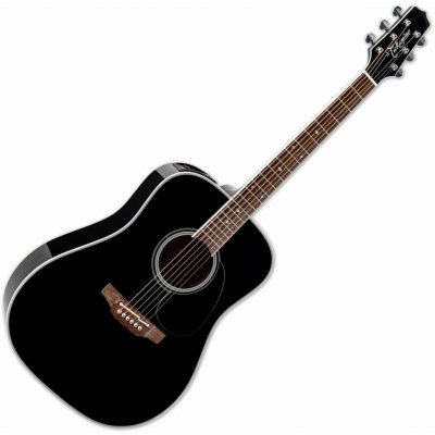 Takamine FT341