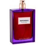 Molinard Les Elements Collection Patchouli parfémovaná voda unisex 75 ml tester – Zboží Dáma