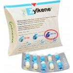 Vetoquinol Zylkene 450 mg pro velké psy od 15 kg do 60 kg 100 kapslí – Zbozi.Blesk.cz