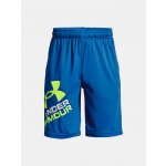 Under Armour UA Prototype 2.0 Logo Shorts – Hledejceny.cz