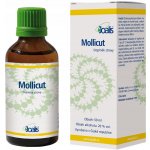 Joalis Mollicut mykoplasma a ureaplasma 50 ml – Hledejceny.cz