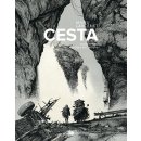 Cesta