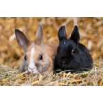 MRUCZKA stelivo sláma 25 l – Zboží Dáma