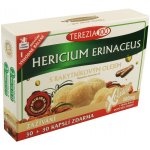 Terezia Company Hericium erinaceus s rakytníkovým olejem 60 kapslí – Hledejceny.cz