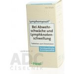 LYMPHOMYOSOT POR GTT SOL 1X100ML – Hledejceny.cz