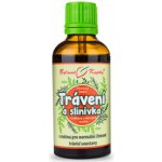 Bylinné kapky Trávení a slinivka kapky tinktura 50 ml – Hledejceny.cz