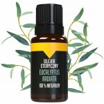 Bilovit esenciální olej Eucalyptus Radiata 10 ml – Hledejceny.cz