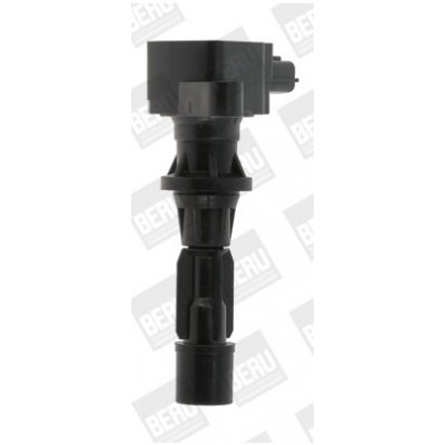 Zapalovací cívka BorgWarner (BERU) ZS488 – Hledejceny.cz