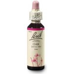 Bachovy květové esence Dub letní Oak 20 ml – Hledejceny.cz