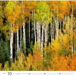 Helma nástěnný Forest/Wald/Les 30 × 30 cm 2026 – Zboží Mobilmania