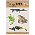 VšudyLepka Lesní svět vel. 1 041 obojživelníci – Hledejceny.cz