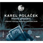 Hlavní přelíčení - Karel Poláček – Hledejceny.cz