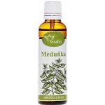 Serafin byliny Meduňka tinktura z bylin 50 ml – Hledejceny.cz