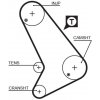 Rozvody motoru Ozubený řemen GATES 5571XS GT 5571XS