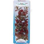 Tetra Ludwigia repens - Red Ludwigia 15 cm – Zboží Dáma