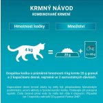 Purina ONE Senior 7+ minifiletky s hovězím a mrkví ve šťávě 4 x 85 g – Hledejceny.cz