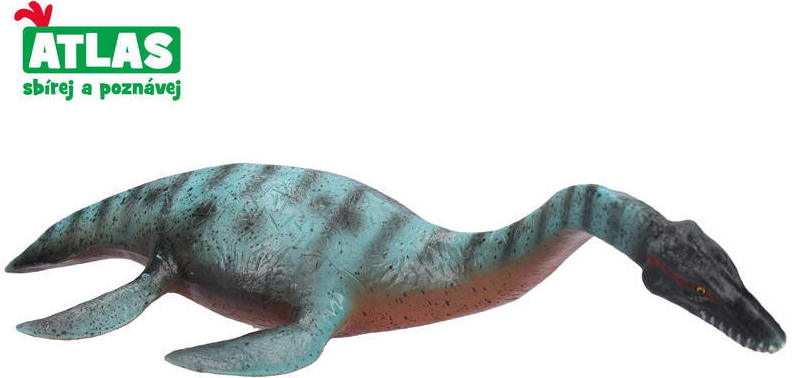 Atlas E Plesiosaurus