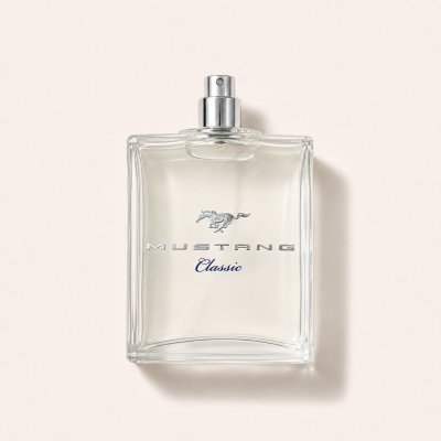 Ford Mustang Classic toaletní voda pánská 100 ml tester – Hledejceny.cz