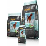 Belcando Adult Ocean Grain Free 4 kg – Hledejceny.cz