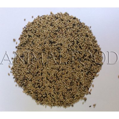 Deli Nature 54 Canaries Breeding With White Perilla 4 kg – Zboží Dáma