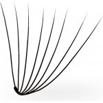 Luxury Lashes 8D Řasy Premium sypané v Hotovém Vějířku - 1 000 Ks Zakřivení umělých řas: CC, Délka umělých řas: 12 mm, Tloušťka řas: 005 – Sleviste.cz
