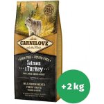 Carnilove Salmon & Turkey for Large Breed Adult Dogs 2 x 12 kg – Hledejceny.cz